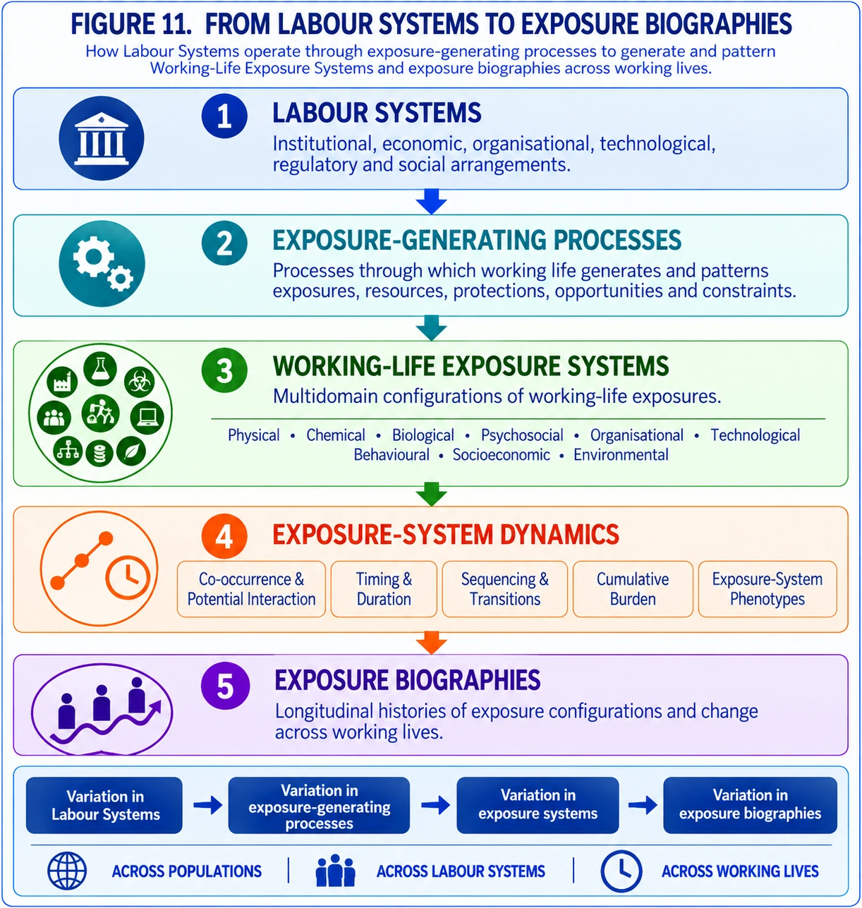 Figure 11 (simplified). Figure 11 presents a simplified overview of how Labour Systems operate through exposure-generating processes to generate and pattern multidomain Working-Life Exposure Systems and exposure biographies across working lives.