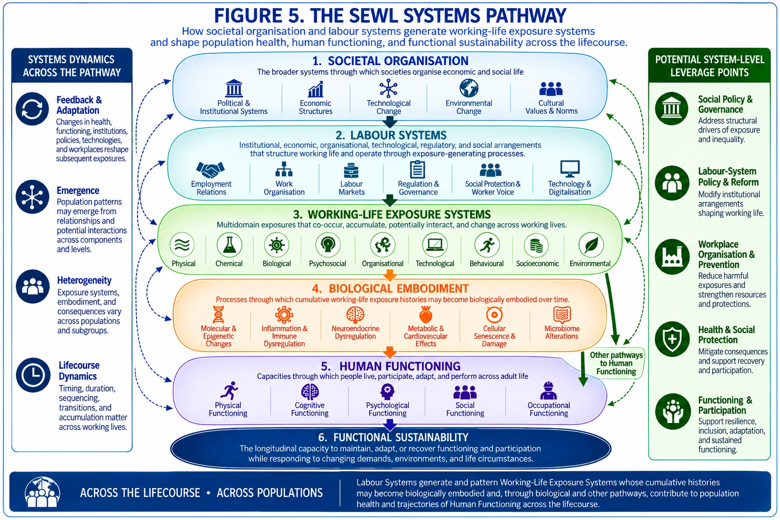 Figure 5. Figure 5 presents the SEWL systems pathway, including its dynamic processes, contextual influences, feedbacks, and potential points for upstream intervention.